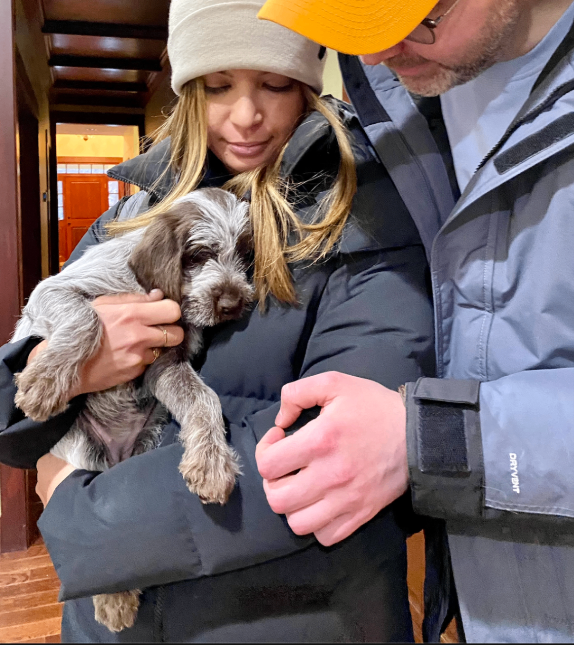A Griffon puppy being held by its new family
